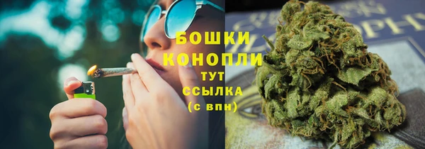 PSILOCYBIN Инта