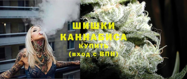 PSILOCYBIN Инта