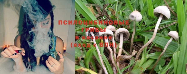 дурь Иннополис