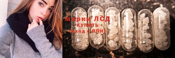 PSILOCYBIN Инта