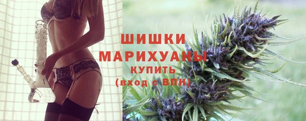 PSILOCYBIN Инта