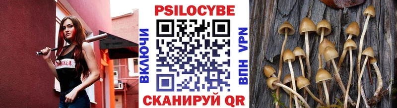 Галлюциногенные грибы прущие грибы  Купить где  Белореченск 